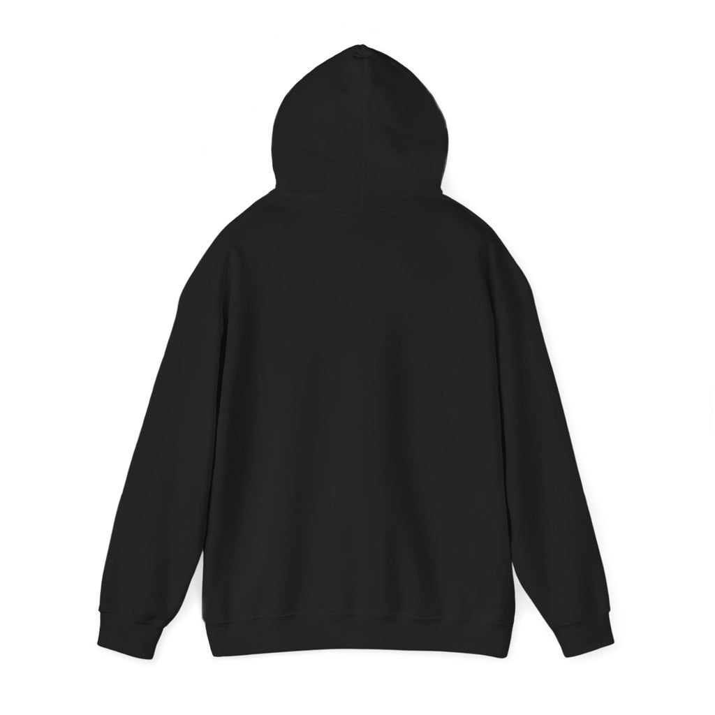 Hello Kitty I  NY Hoodie - Cute New York Graphic Pullover
