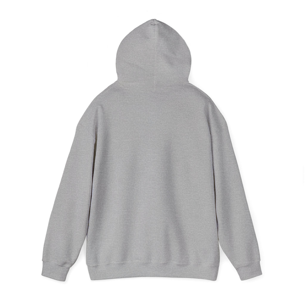 Hello Kitty I  NY Hoodie - Cute New York Graphic Pullover