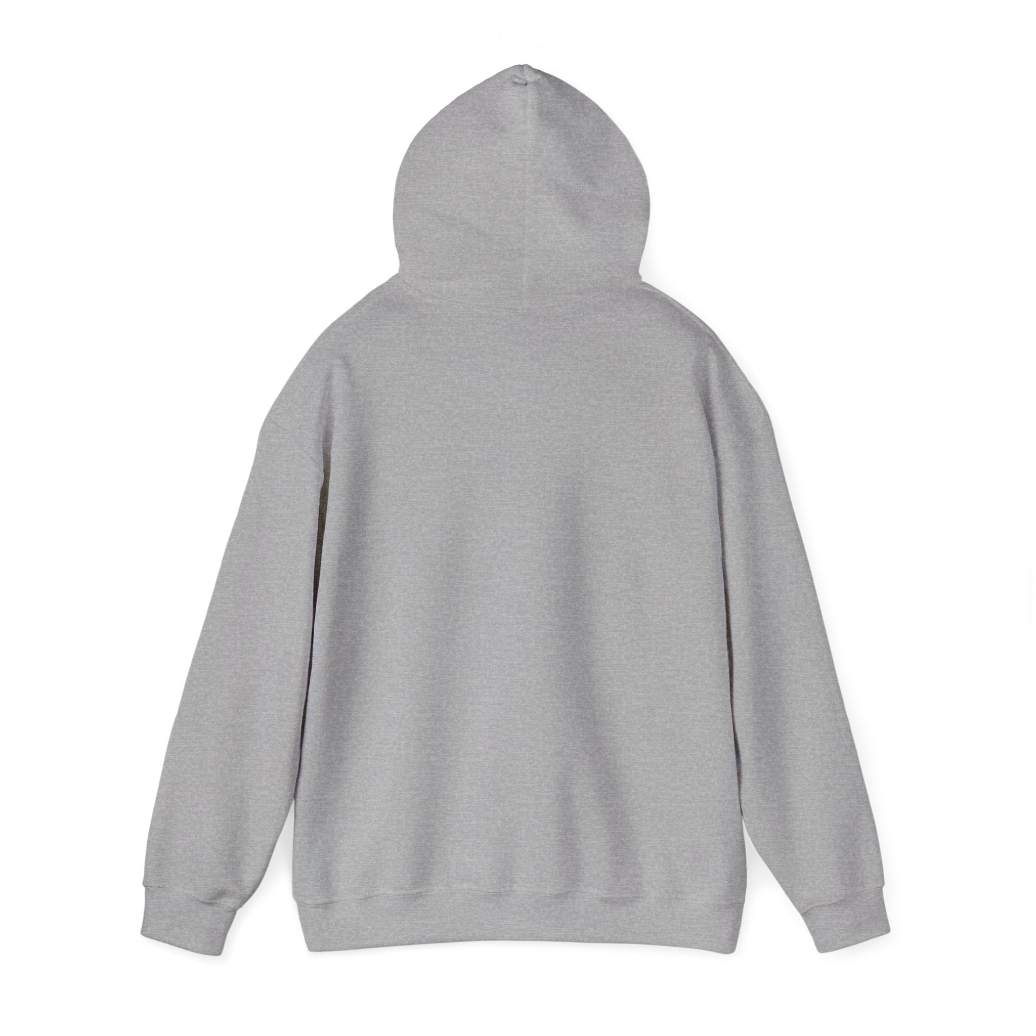 Hello Kitty I  NY Hoodie - Cute New York Graphic Pullover